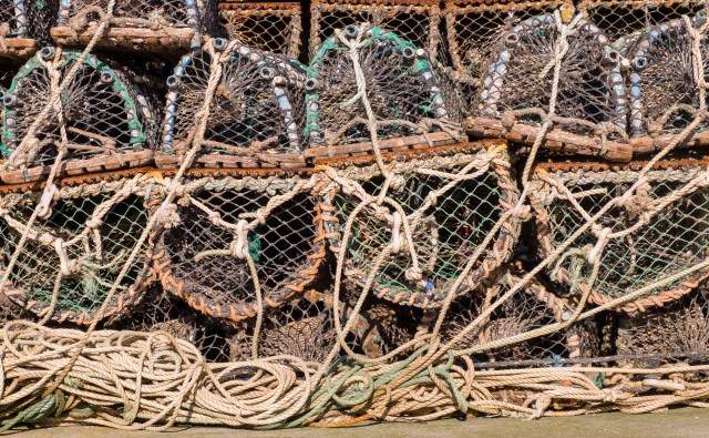 Lobster creels Arbroath